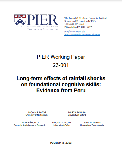 Efectos a largo plazo de shocks de lluvia en las habilidades cognitivas fundamentales: evidencia para Perú